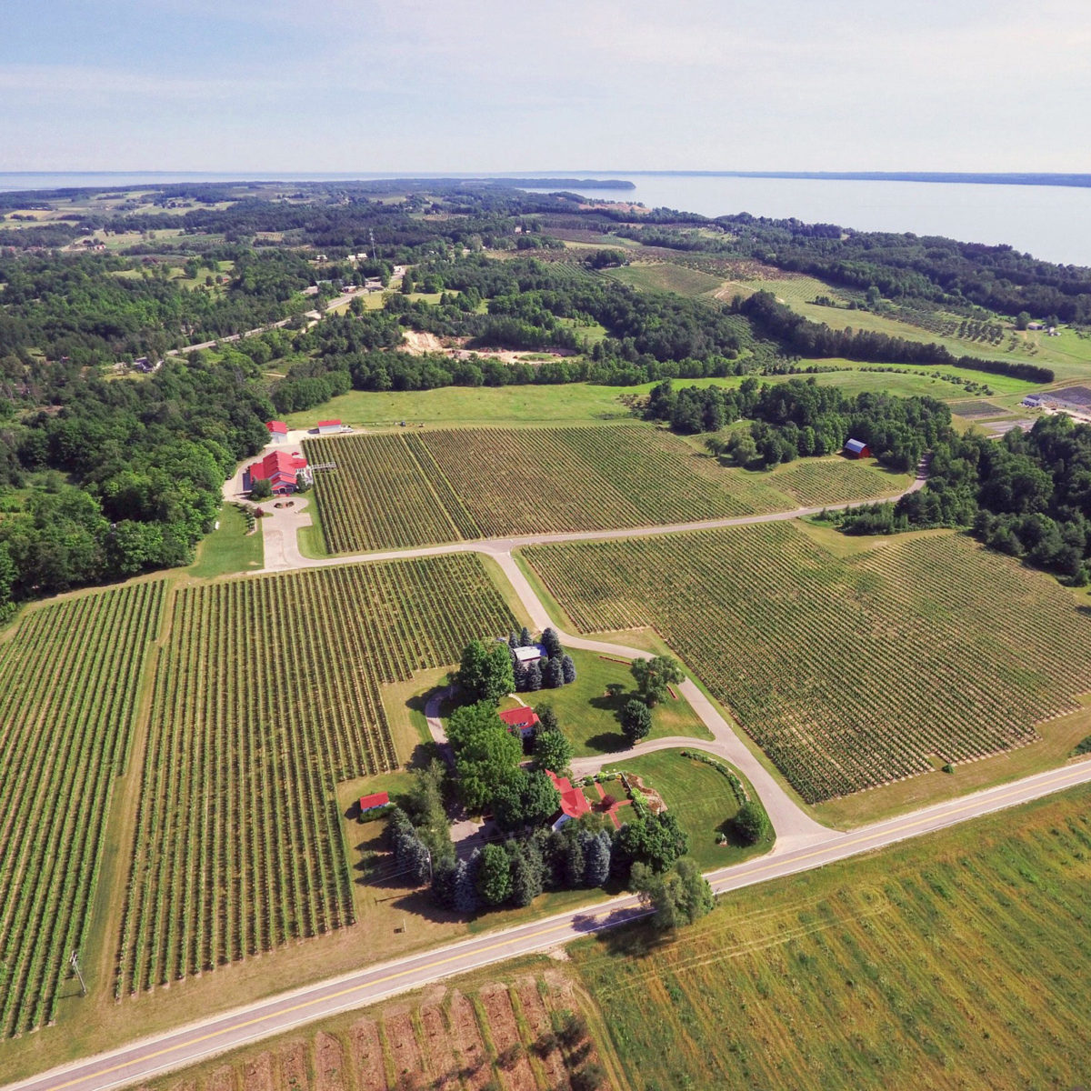 Vineyard For Sale Michigan