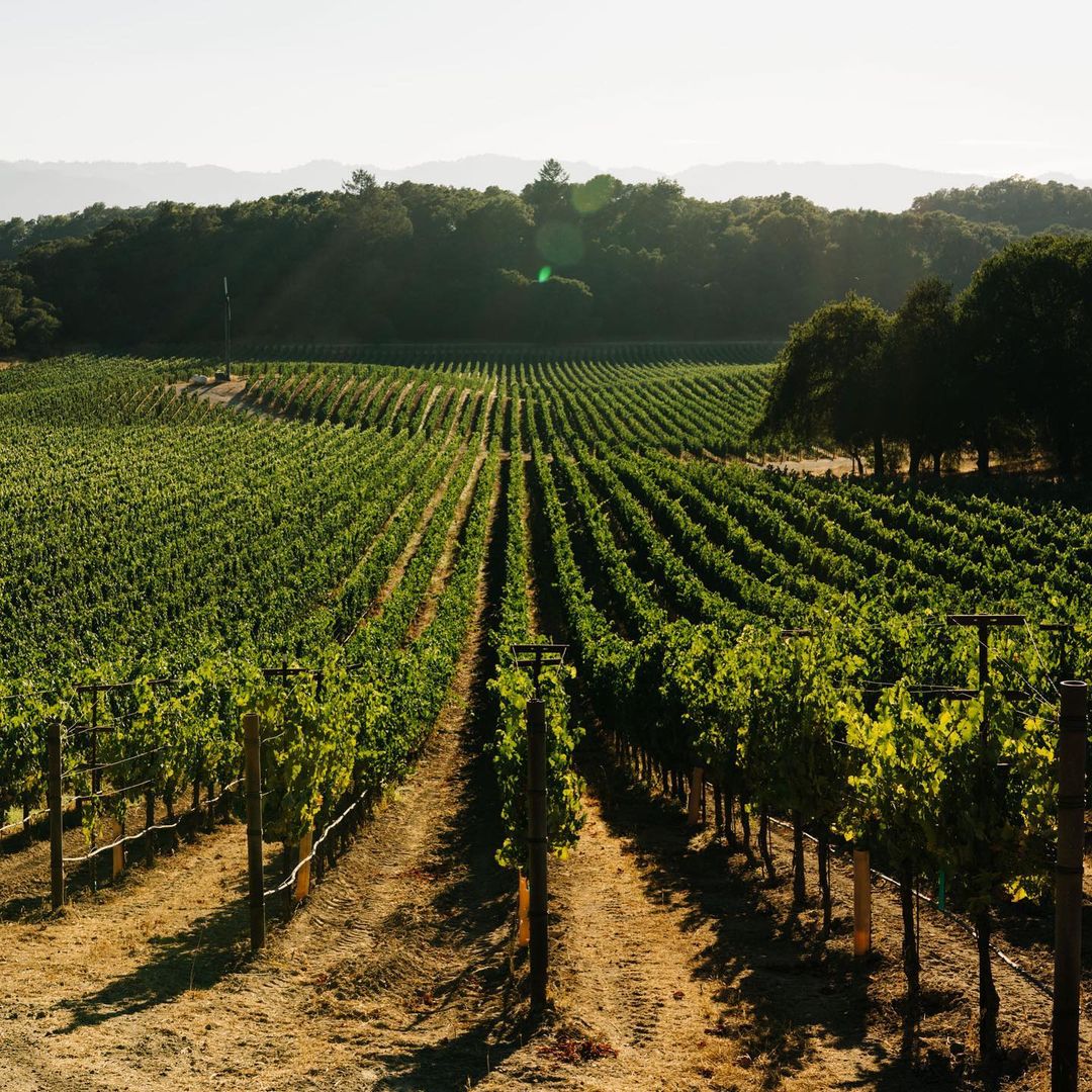 Heitz Cellar The Benchmark for Wine in Napa Valley Tock