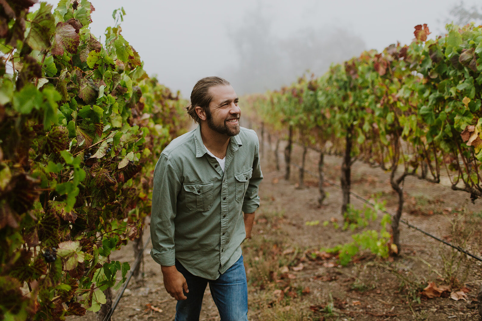 Cover Image for Noah Dorrance Captures the Spirit of California in BloodRoot Wines