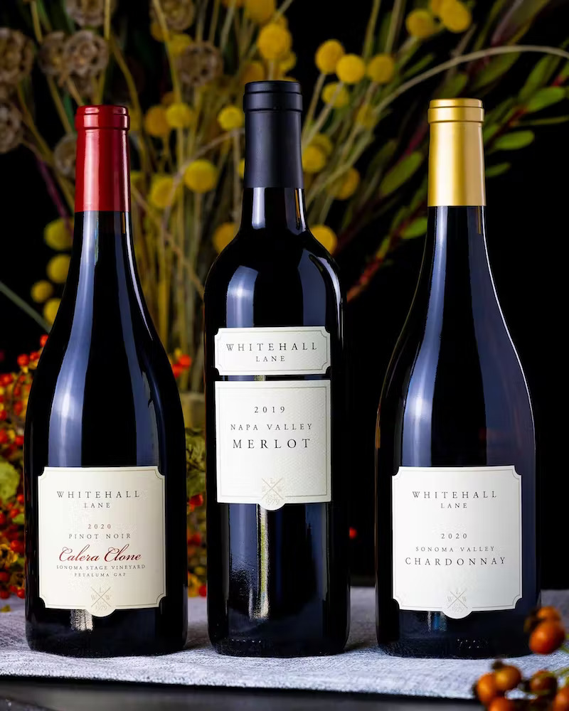 Cover Image for 8 Stellar Wines to Gift this Holiday Season