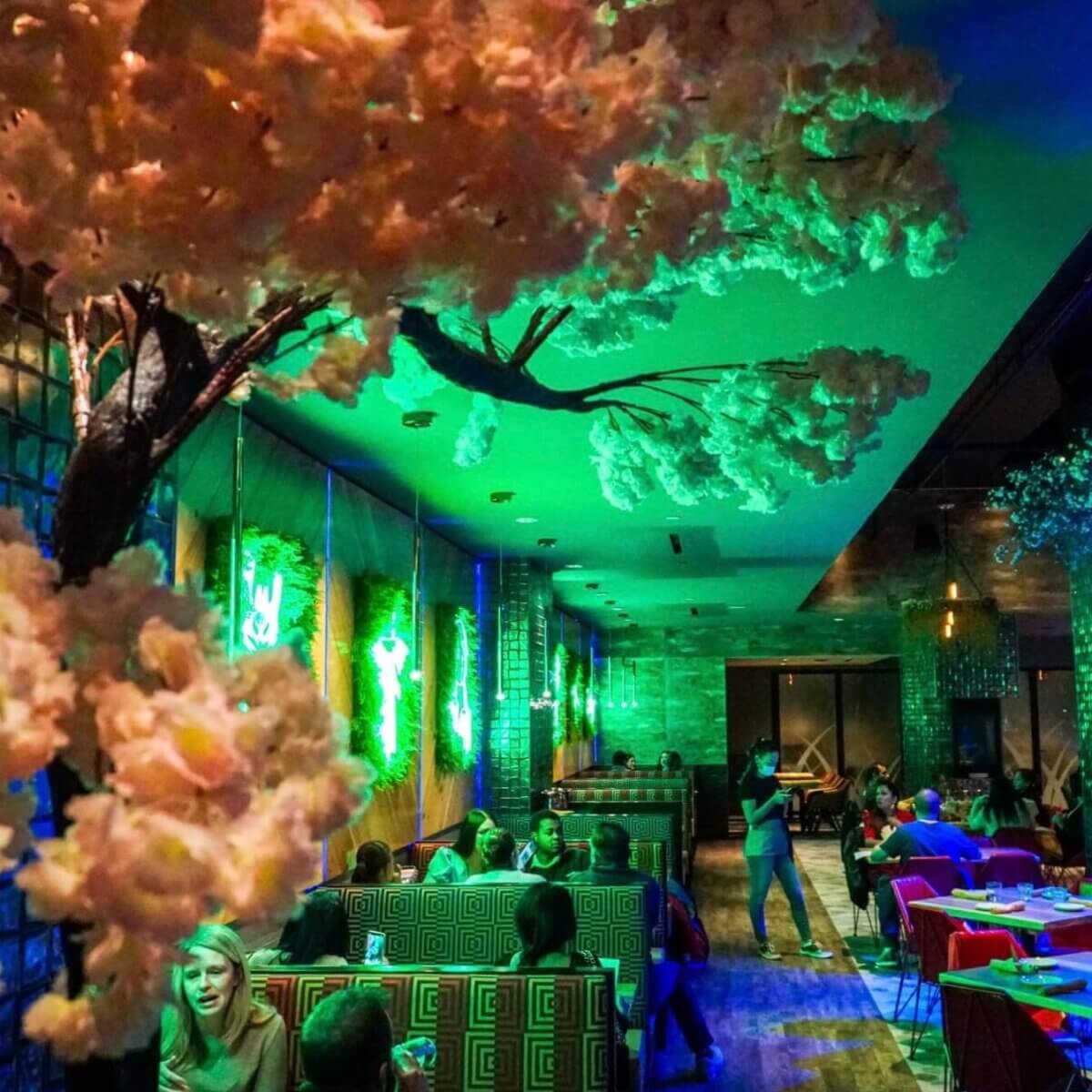 Best Happy Hour DC Discover the Top Spots and Trends