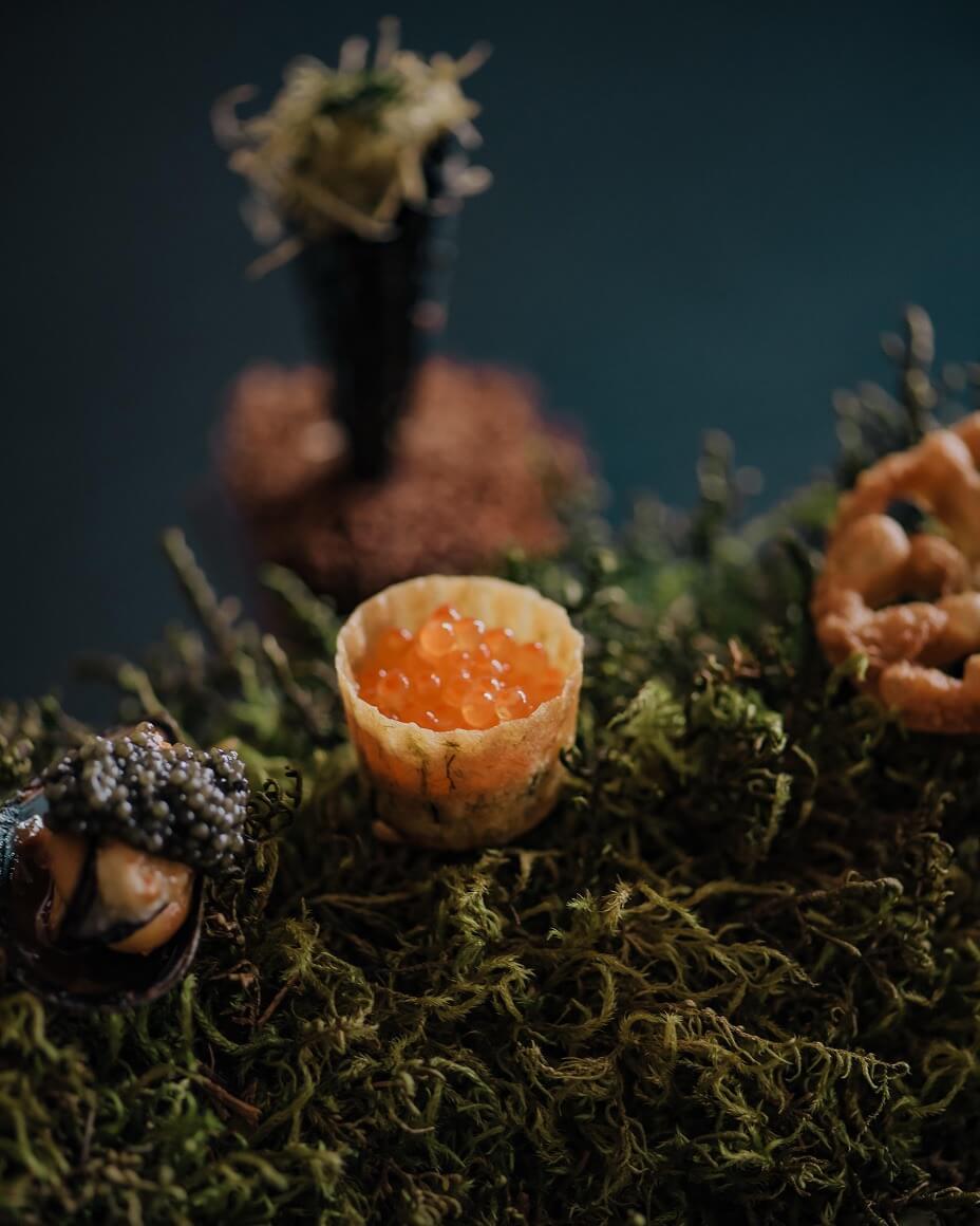 Small bites plated on bed of moss