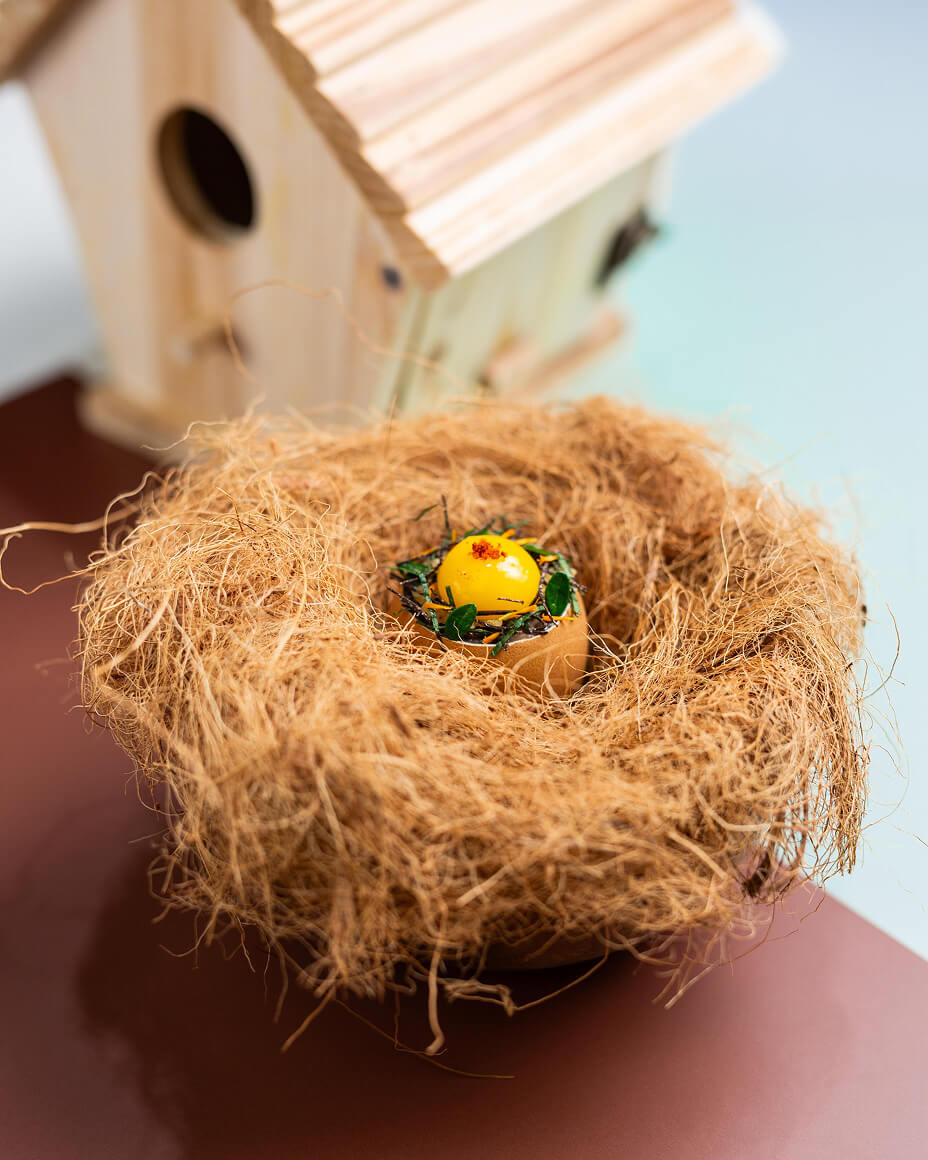 Nest with small plated bite in an egg shell in the center, a wooden bird house in the background